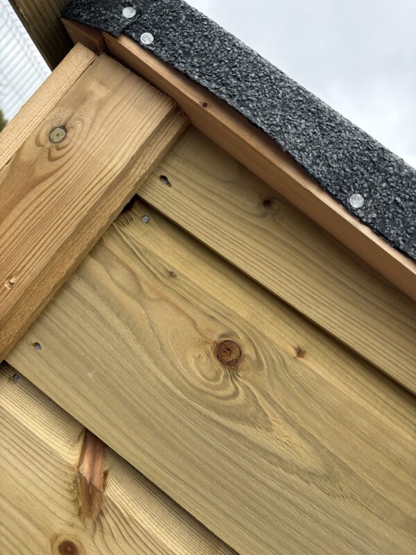 Dog Box - Image 3