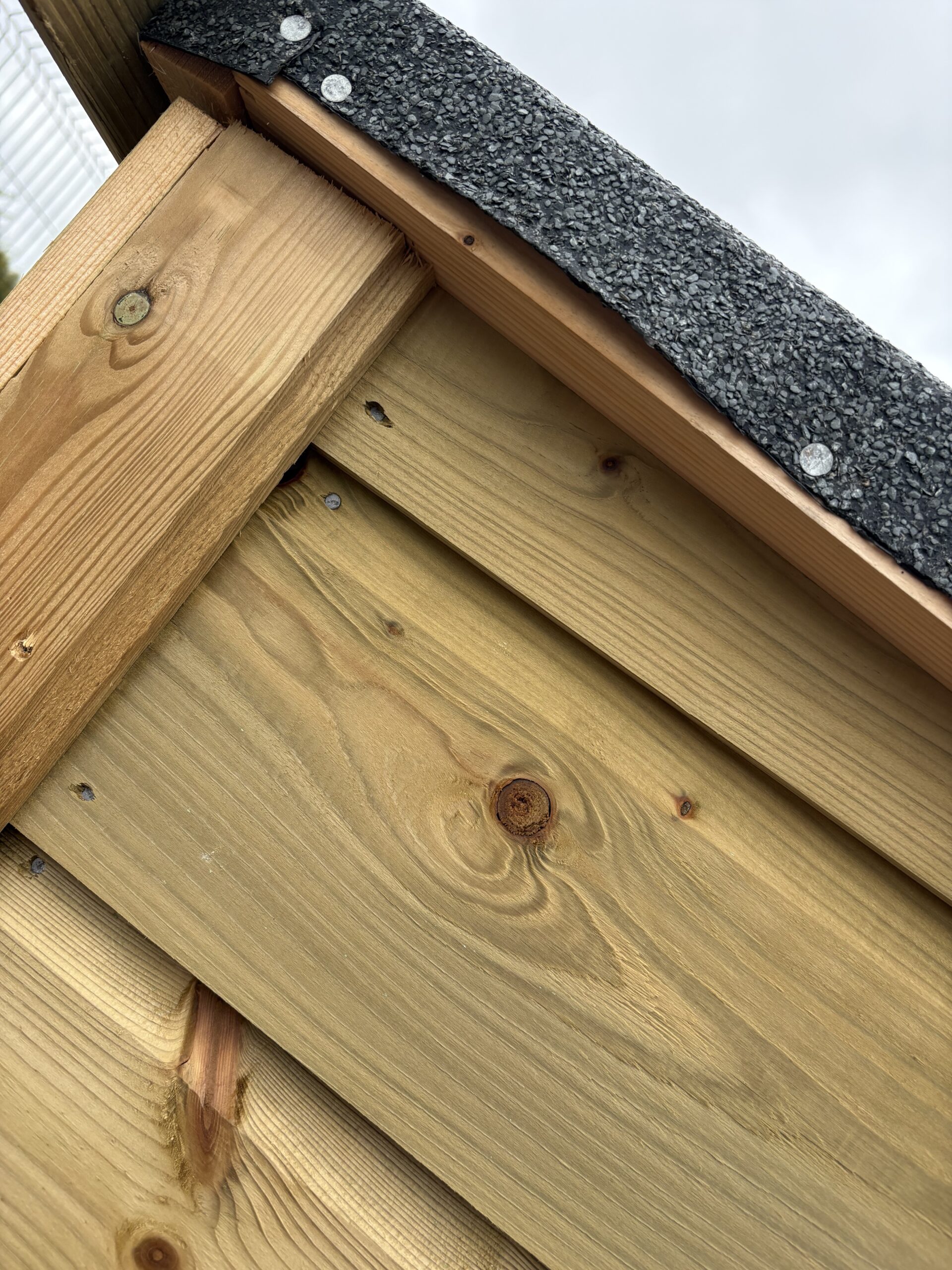 Dog Box - Image 3
