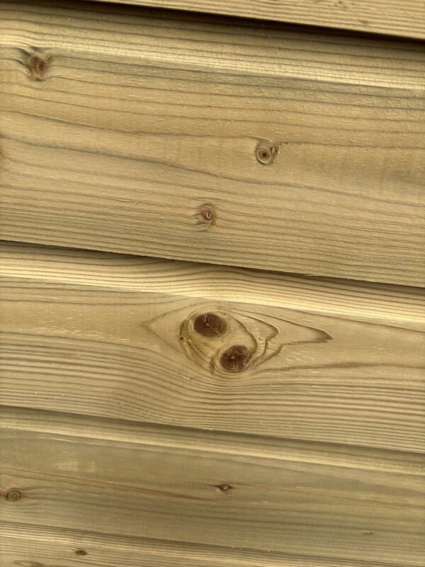Dog Box - Image 4