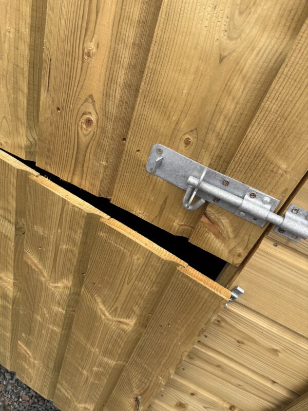 Dog Box - Image 5