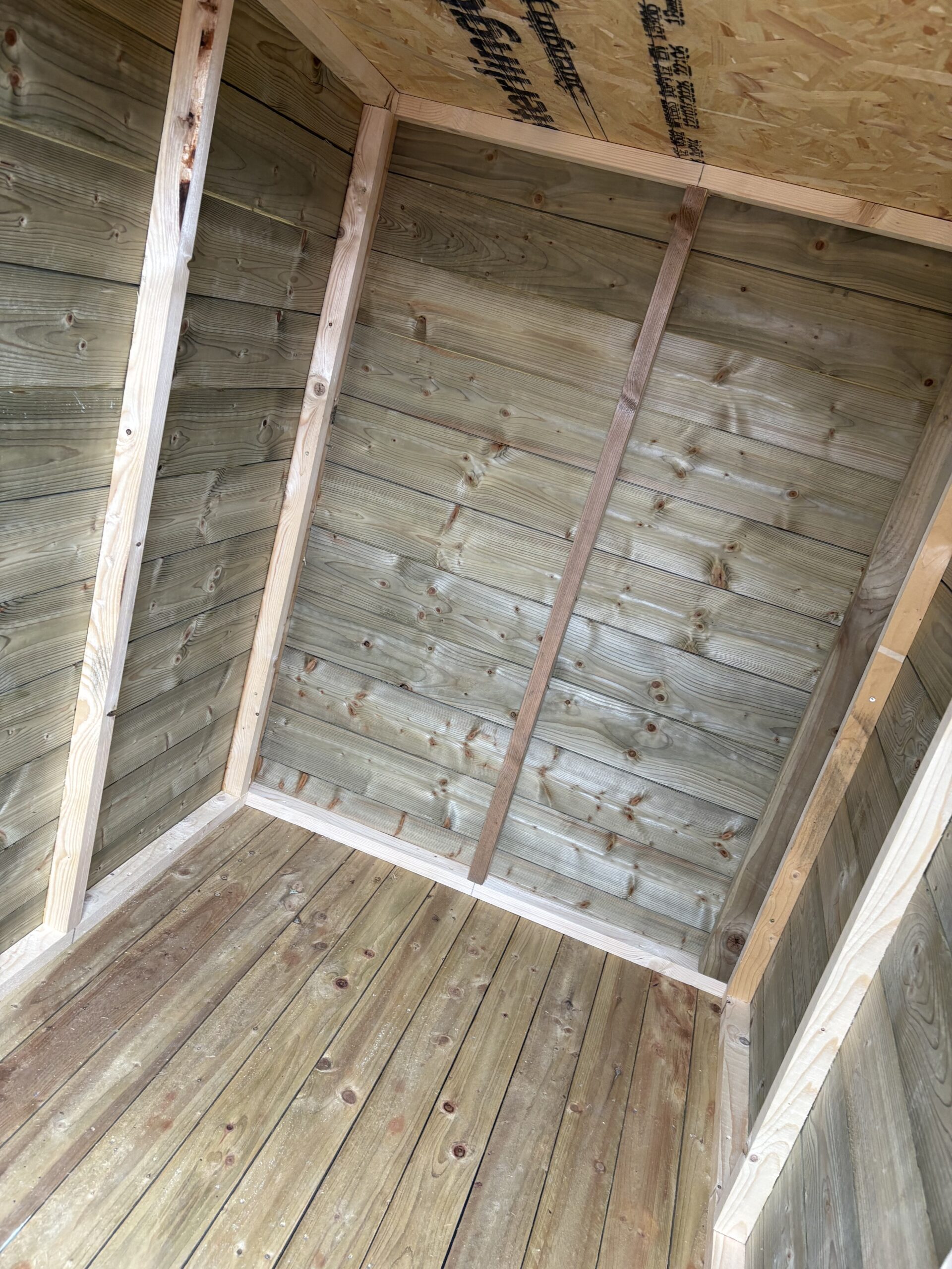 Dog Box - Image 6